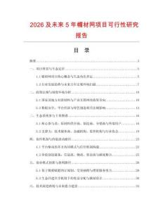2026及未來5年帽材網項目可行性研究報告
