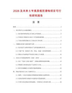 2026及未來5年索具銀形滑鉤項目可行性研究報告
