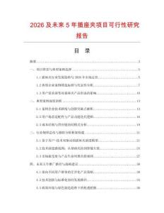 2026及未來5年插座夾項目可行性研究報告