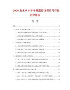 2026及未來5年冬菇瓶燈飾項目可行性研究報告