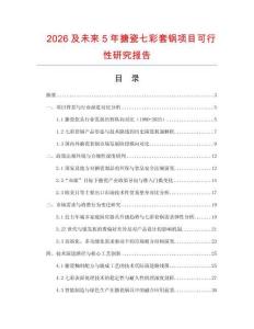 2026及未來5年搪瓷七彩套鍋項目可行性研究報告