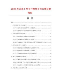 2026及未來5年平行規項目可行性研究報告