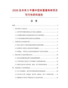 2026及未來5年豪華型舉重健身椅項目可行性研究報告