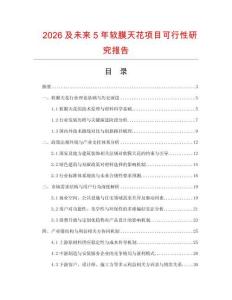2026及未來5年軟膜天花項目可行性研究報告