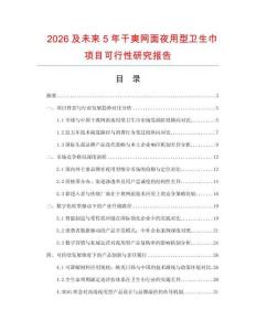 2026及未來5年干爽網(wǎng)面夜用型衛(wèi)生巾項目可行性研究報告