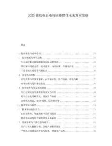 2025影院電影電視劇播媒體未來發展策略
