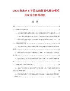 2026及未來5年反應燒結碳化硅燒嘴項目可行性研究報告