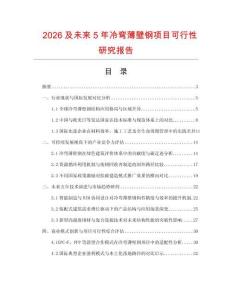 2026及未來5年冷彎薄壁鋼項目可行性研究報告