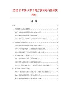 2026及未來5年日亮燈項目可行性研究報告