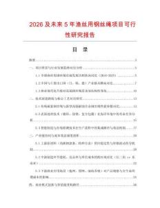 2026及未來5年漁絲用鋼絲繩項目可行性研究報告