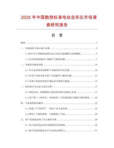 2025年中國數控標準電動擊實儀市場調查研究報告