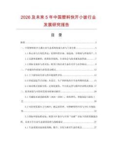 2026及未來5年中國塑料快開小撥行業(yè)發(fā)展研究報告