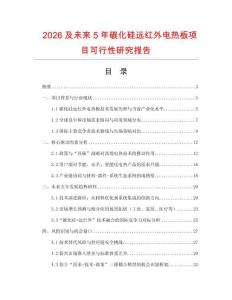 2026及未來5年碳化硅遠(yuǎn)紅外電熱板項(xiàng)目可行性研究報(bào)告