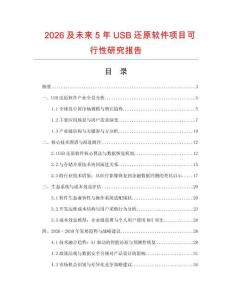 2026及未來5年USB還原軟件項目可行性研究報告