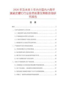 2026年及未來5年內(nèi)中國內(nèi)六角平端緊定螺釘行業(yè)投資前景及策略咨詢研究報告