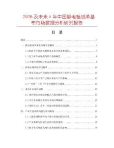 2026及未來5年中國靜電植絨革基布市場數(shù)據(jù)分析研究報告