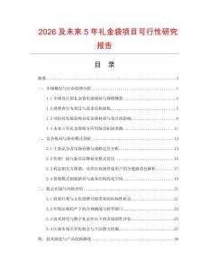 2026及未來5年禮金袋項目可行性研究報告