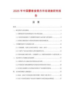 2025年中國麝香接骨丹市場調查研究報告