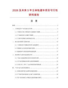 2026及未來5年立體軌道車項目可行性研究報告