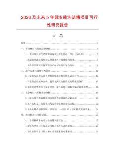 2026及未來5年超濃縮洗潔精項目可行性研究報告