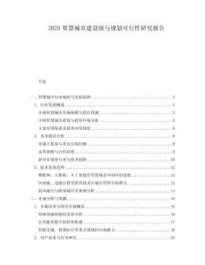 2025智慧城市建設級與規劃可行性研究報告