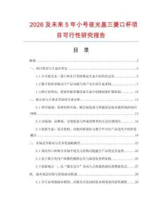 2026及未來5年小號夜光蓋三菱口杯項目可行性研究報告