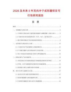 2026及未來5年雙向沖子成形器項目可行性研究報告