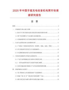 2025年中國手搖充電收音機電筒市場調查研究報告
