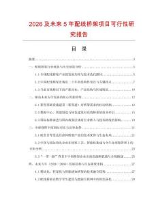 2026及未來5年配線橋架項目可行性研究報告