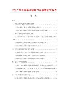 2025年中國單孔磁珠市場調查研究報告