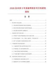 2026及未來5年消音網(wǎng)項目可行性研究報告