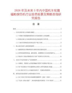 2026年及未來(lái)5年內(nèi)中國(guó)機(jī)車輪箍磁粉探傷機(jī)行業(yè)投資前景及策略咨詢研究報(bào)告