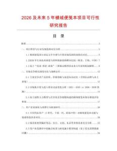 2026及未來5年植絨便箋本項目可行性研究報告