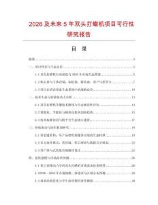 2026及未來5年雙頭打蠟機項目可行性研究報告