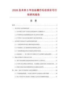 2026及未來5年拉絲模芯毛坯項目可行性研究報告