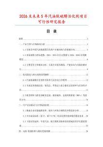 2026及未來5年汽油脫硫醇活化劑項目可行性研究報告