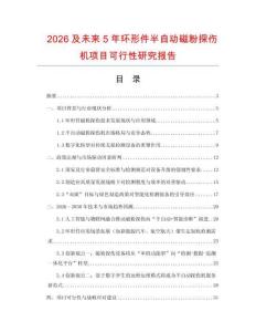 2026及未來5年環(huán)形件半自動磁粉探傷機(jī)項目可行性研究報告