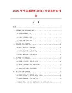2025年中國雕磨機軟軸市場調查研究報告