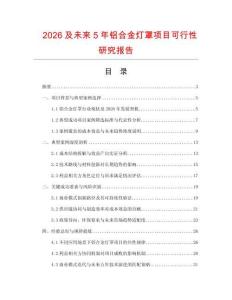 2026及未來5年鋁合金燈罩項目可行性研究報告