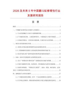 2026及未来5年中国翻斗缸修理包行业发展研究报告