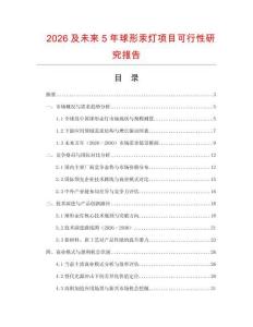 2026及未來5年球形汞燈項目可行性研究報告