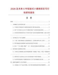 2026及未來5年輕按式小便閥項目可行性研究報告