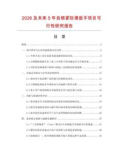 2026及未來5年自鎖緊防滑扳手項目可行性研究報告