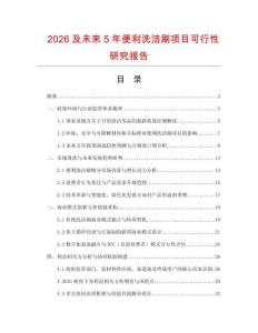 2026及未來5年便利洗潔刷項目可行性研究報告