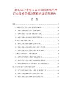 2026年及未來5年內(nèi)中國水瓶吊帶行業(yè)投資前景及策略咨詢研究報告