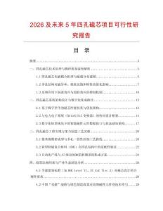 2026及未來5年四孔磁芯項目可行性研究報告