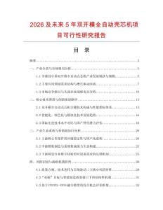 2026及未來5年雙開模全自動殼芯機項目可行性研究報告
