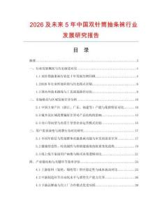 2026及未來5年中國雙針筒抽條襪行業發展研究報告
