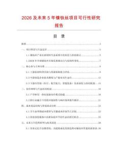 2026及未來5年鎳鈦絲項目可行性研究報告