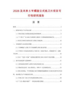 2026及未來5年螺旋立式銑刀片項目可行性研究報告